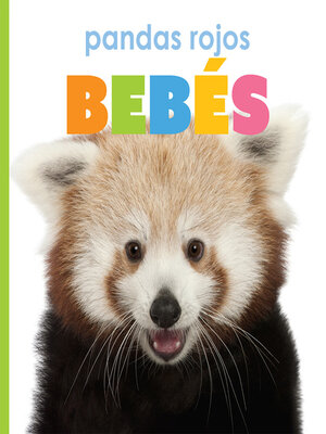 cover image of pandas rojos bebés